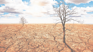 Climate change