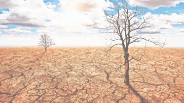 Climate change
