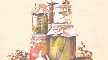 Fermented foods