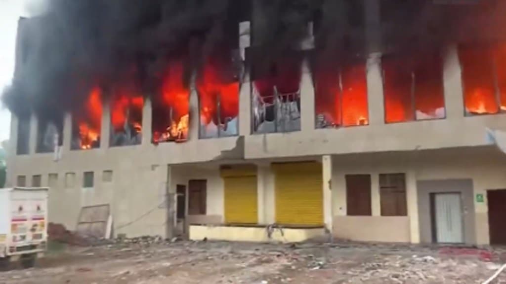 Delhi Fire Services confirmed that 25 fire engines were dispatched to the scene in an effort to contain the flames. (Image: Screengrab/X:IANS)