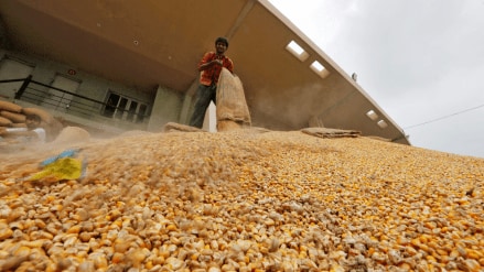 Food export
