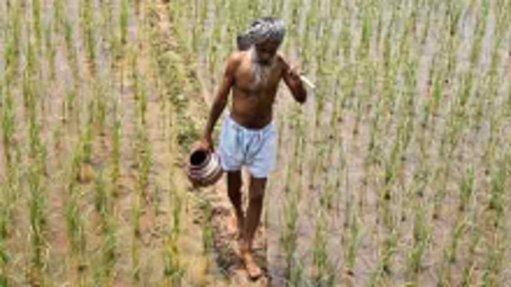 The availability of proper drying and storage infrastructure also plays an important role in reducing food losses.