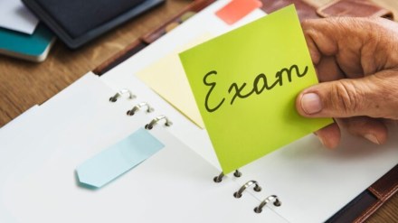 RSMSSB releases CET 2024 exam schedule for government job aspirants in Rajasthan - Details here