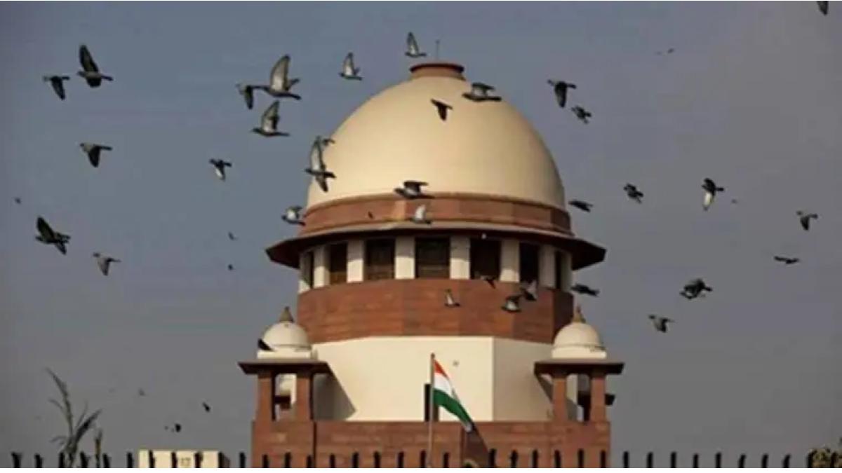 Supreme Court Dalit student IIT Dhanbad admission, dy chandrachud: Cannot allow such a talented boy to go away': SC orders IIT Dhanbad to admit Dalit student after missed fee deadline Supreme Court Dalit student IIT Dhanbad admission, dy chandrachud: Cannot allow such a talented boy to go away': SC orders IIT Dhanbad to admit Dalit student after missed fee deadline