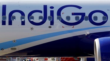IndiGo shares