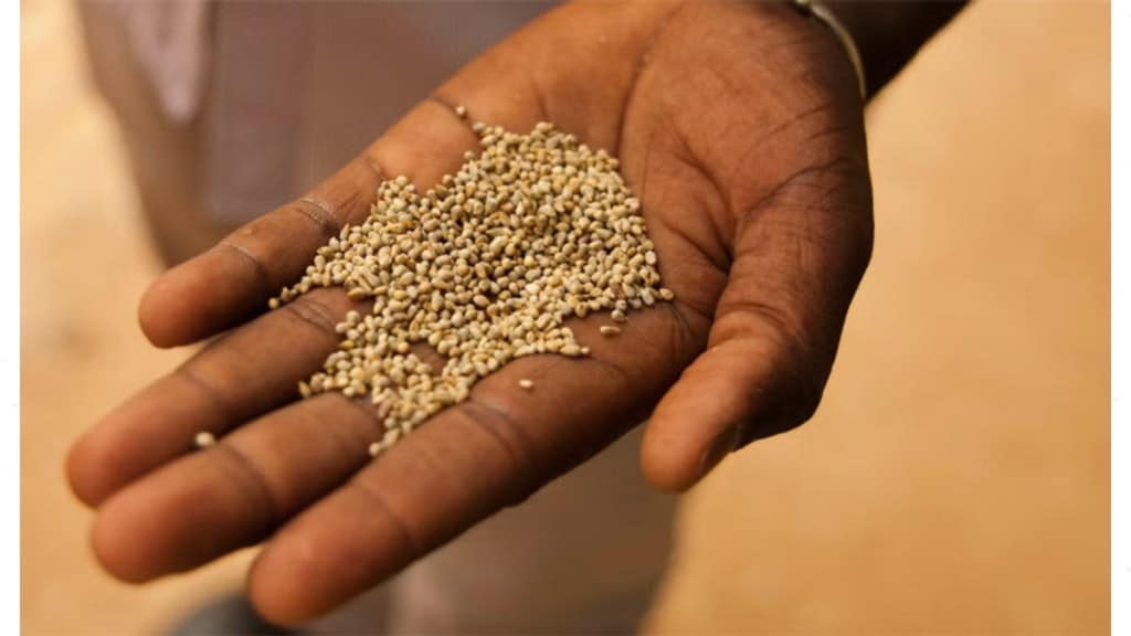 Millet