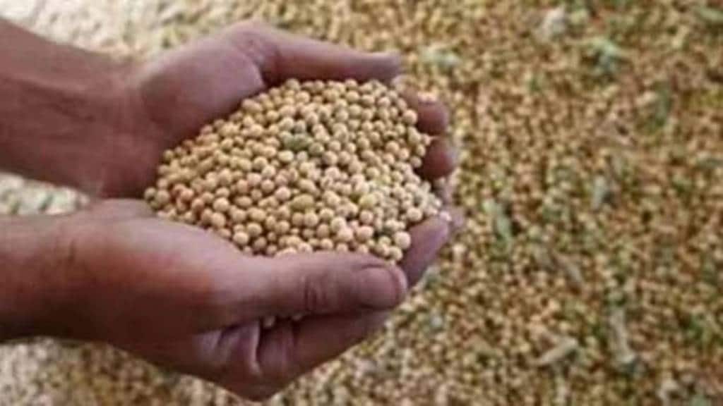 National Seed Corporation