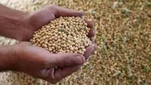 National Seed Corporation