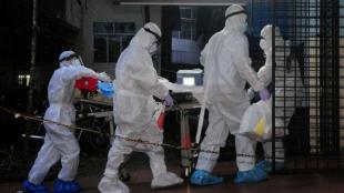 nipah virus, nipah, kerala nipah restrictions, nipah death, Malappuram nipah lockdown