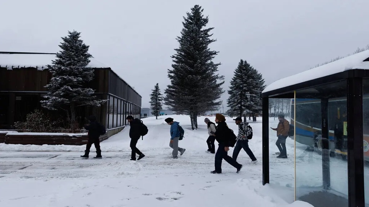 Ontario minimum wage, Immigrant Nominee Program, British Columbia, workers, annual pay