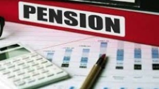 This is important because the class of retirees is a fairly large section, which helps in generating consumption in the economy. And this number builds every year as people enter this age group.
