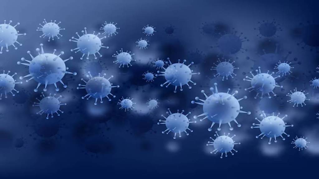Polio like virus