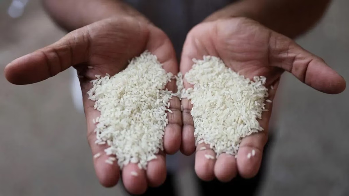 Industry, Rice, Basmati Rice, MEP, Export
