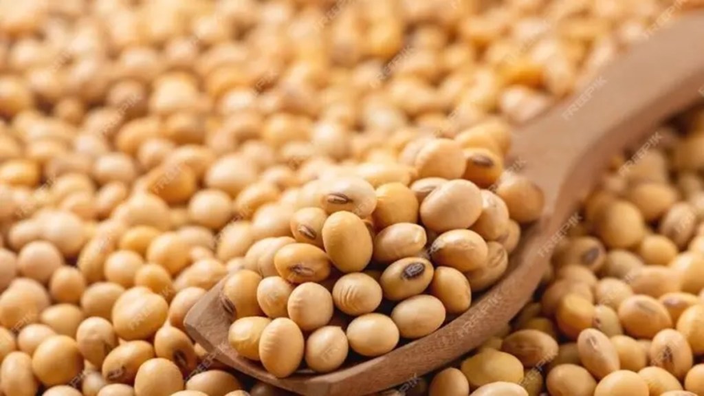 India, Soyabean, MSP, Farmers