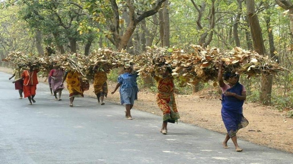 Economy, Tribal, PMJANMAN, DAPST, India