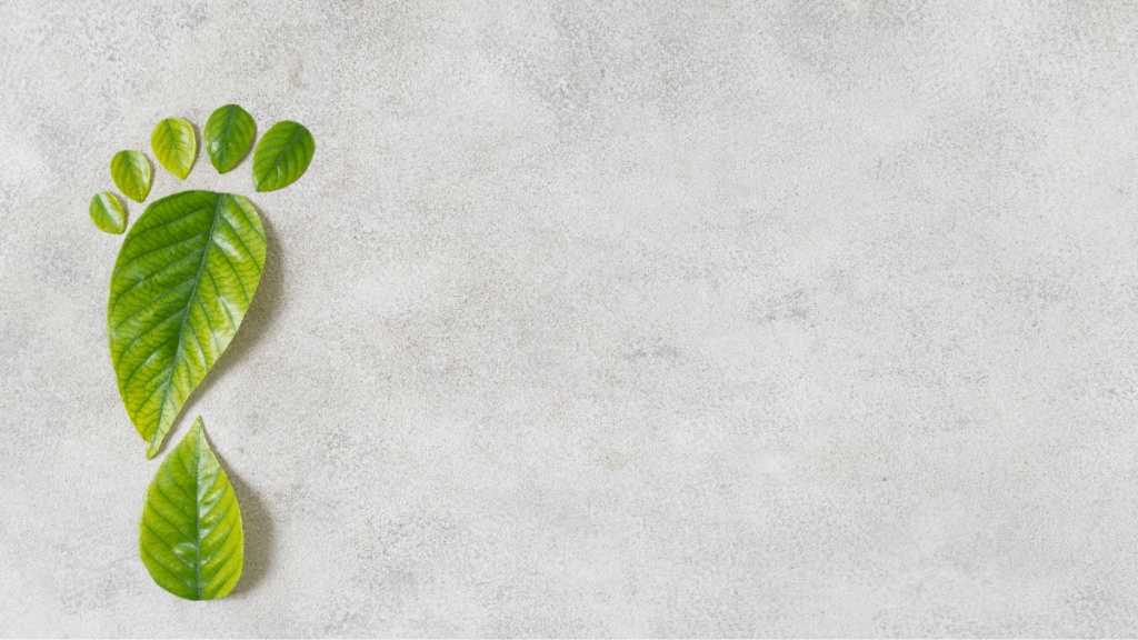 Eco-conscious virtual reality represents a powerful tool for reducing the carbon footprint of various industries. Eco-conscious virtual reality represents a powerful tool for reducing the carbon footprint of various industries.