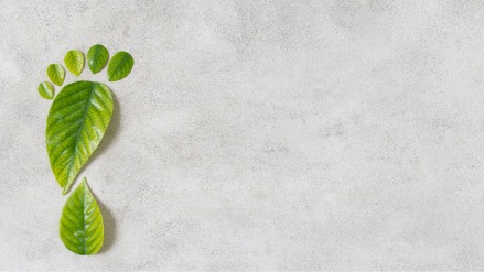 Eco-conscious virtual reality represents a powerful tool for reducing the carbon footprint of various industries. Eco-conscious virtual reality represents a powerful tool for reducing the carbon footprint of various industries.