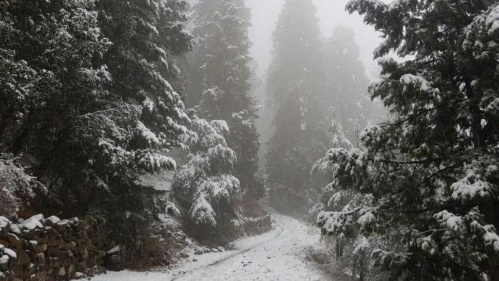 uttarakhand rainfall, rains in uttarakhand, uttarakhand, imd rain warning