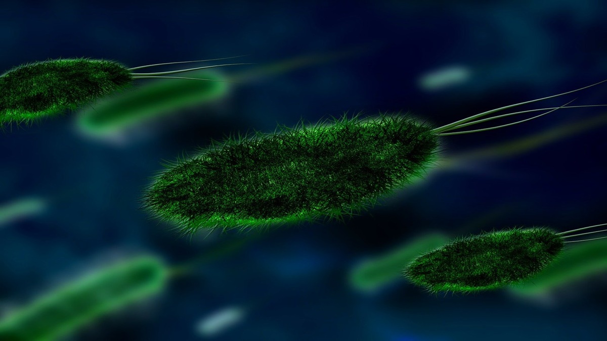 Marburg virus outbreak kills six in Rwanda: Check Symptoms, Causes, Preventions and more Marburg virus outbreak kills six in Rwanda: Check Symptoms, Causes, Preventions and more
