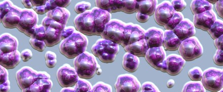 Fungal infection, pandemic, antibiotic resistance, health news, wellness news,