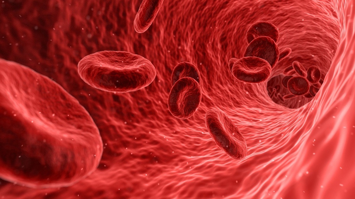 Blood test that can predict if weight loss can help manage sugarHere's(02)