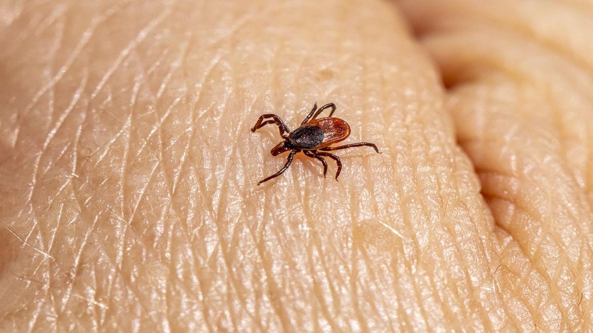 China virus, China new virus, Wetland virus, wetland virus in china, health news, wellness news,