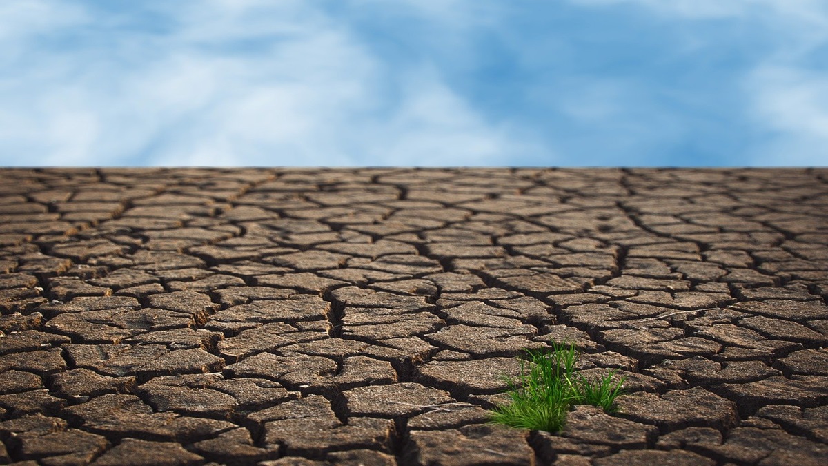 Climate tech: Less than 3% of startups have reached Series B or beyond funding levels, says report Climate tech: Less than 3% of startups have reached Series B or beyond funding levels, says report