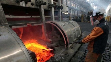 Economy, Crude, Natural Gas, Electricity, Coal