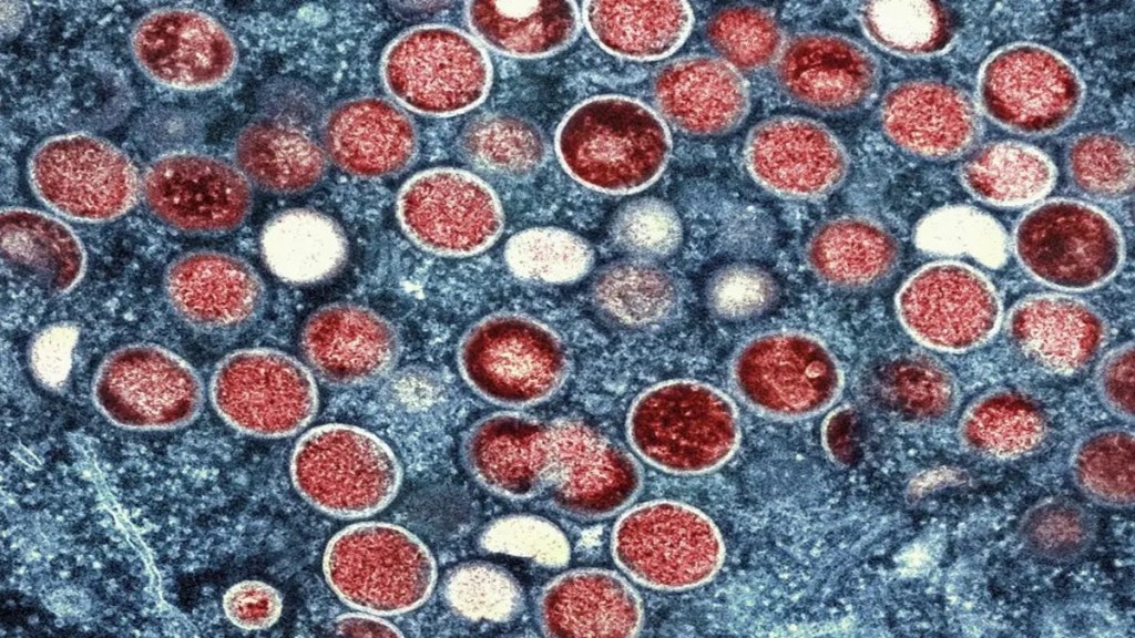 India confirms first case of fast-spreading mpox clade 1b variant India confirms first case of fast-spreading mpox clade 1b variant