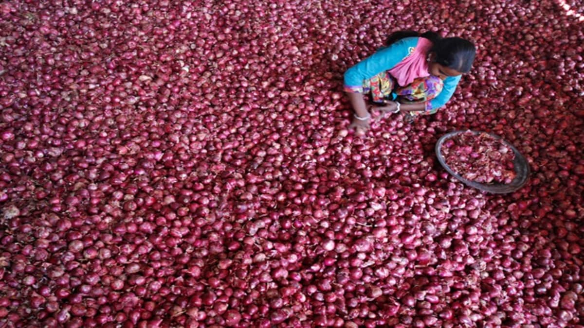 Retail onions prices drop on govt move to sell at Rs 35/kg