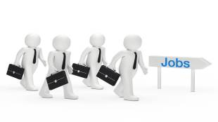 highest paying jobs, best jobs, government jobs, high paying government jobs, 2 lacs government jobs, high paying government jobs, lifestyle