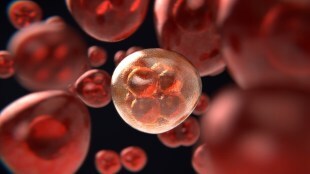 Rise in lymphoma cases in India highlights importance of early diagnosis and treatment