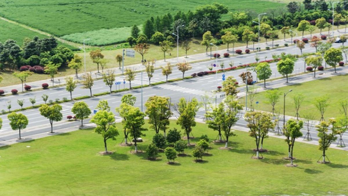 Rohtak and Bahadurgarh's Plot Price Boom: A golden opportunity for investors