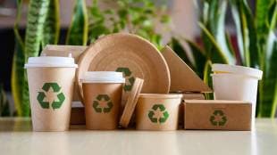 Sustainable packaging, Safe packing, Sustainable packaging for food, food sustainability, lifestyle