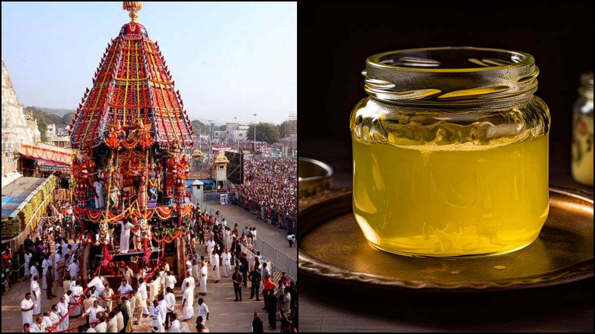 Tirupati Laddu Controversy, beef ghee laddu, beef ghee Tirupati temple, Tirupati Laddu Controversy details, Tirupati Laddu Controversy explained, Tirupati Laddu ingredients, Tirupati Laddu significance, lifestyle, type of ghee, how to test ghee, original ghee, amul ghee, Tirupati Laddu Controversy ghee news Tirupati Laddu Controversy, beef ghee laddu, beef ghee Tirupati temple, Tirupati Laddu Controversy details, Tirupati Laddu Controversy explained, Tirupati Laddu ingredients, Tirupati Laddu significance, lifestyle, type of ghee, how to test ghee, original ghee, amul ghee, Tirupati Laddu Controversy ghee news