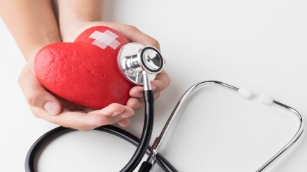 Lipid Profiles and Inflammatory Marker Tests for Women