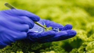 Biotech startup BioPrime raises $6 million Series A round led by Belgium's impact fund Edaphon