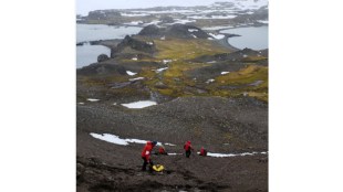 One notable area, Robert Island, known for its significant greening, saw an 18.7% rise in vegetated land between 2013 and 2016. (Image: Reuters)