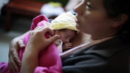 INGO, NGO, Female foeticide, India, World Bank