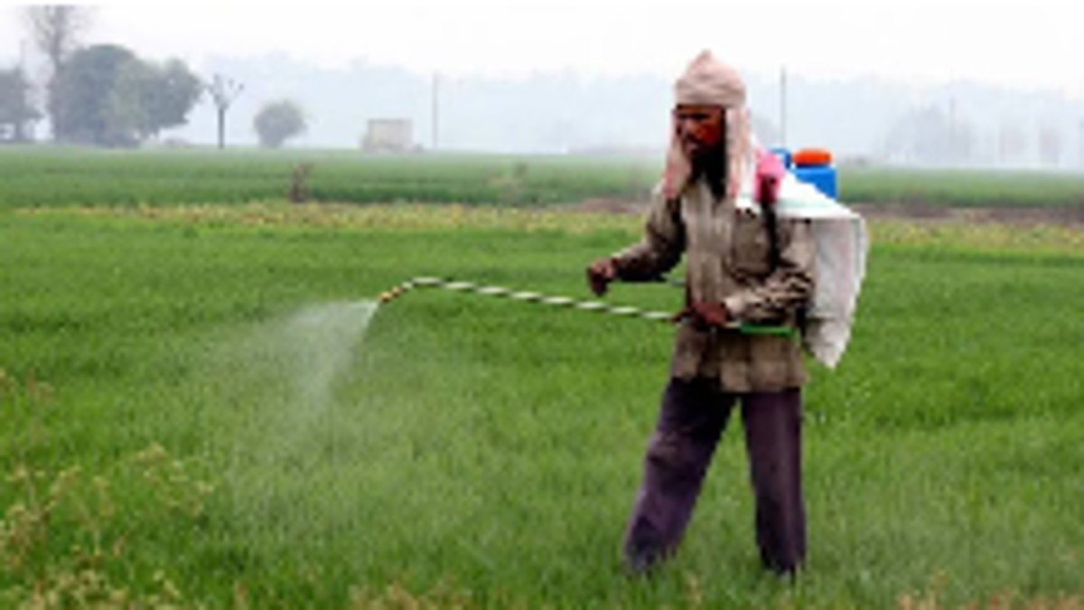 The “Right to Food” approach of FAO encouraged the government of India (the United Progressive Alliance government led by Manmohan Singh) to pass the National Food Security Act (NFSA) in 2013.