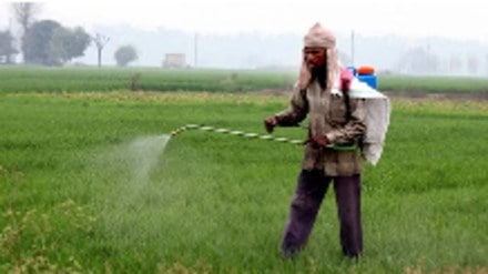 The “Right to Food” approach of FAO encouraged the government of India (the United Progressive Alliance government led by Manmohan Singh) to pass the National Food Security Act (NFSA) in 2013.