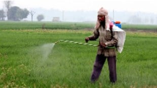 The “Right to Food” approach of FAO encouraged the government of India (the United Progressive Alliance government led by Manmohan Singh) to pass the National Food Security Act (NFSA) in 2013.