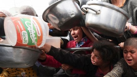 israel, israel gaza, gaza news, dogs eating bodies in gaza, gaza deaths, palestinians death, hamas, hamas chief, netanyahu