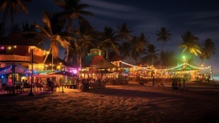 Goa: Two held for assaulting three veterinarians, including woman, at beach shack