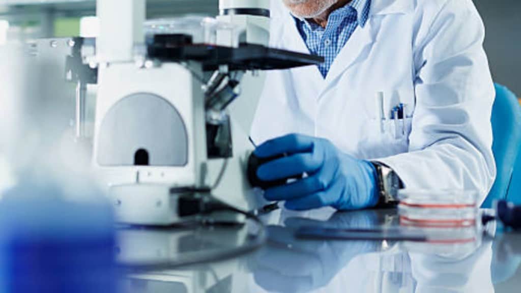 Six Parul University researchers named in global ranking of top 2% scientists