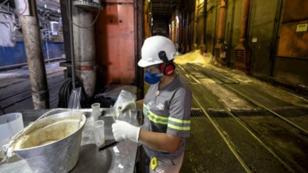 Sugar output seen at 33 MT for 2024-25 season