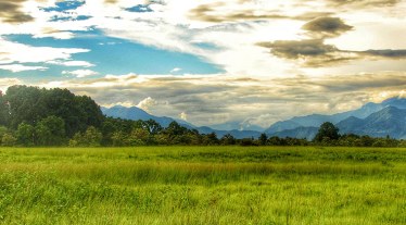 Manas National Park