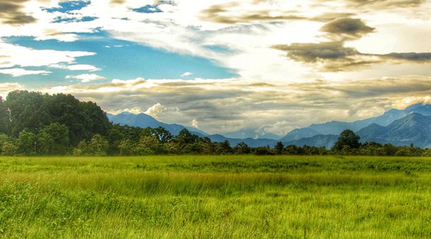 Manas National Park