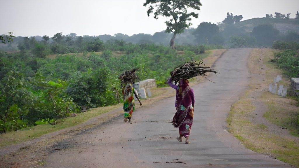 Land-dependent communities in India