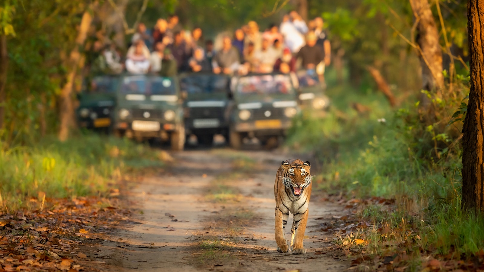 The Wild Side of Uttar Pradesh